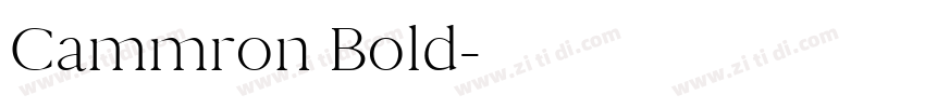 Cammron Bold字体转换
